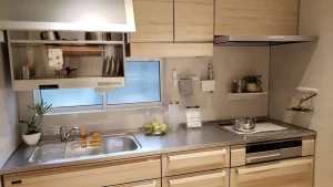 Hút mùi Panasonic FY-9HTC5-S