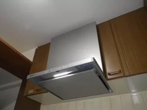 Hút mùi Panasonic FY-9HTC5-S