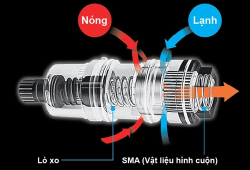 sen-tam-cay-toto-tbw04401j-khong-che-nhiet-do