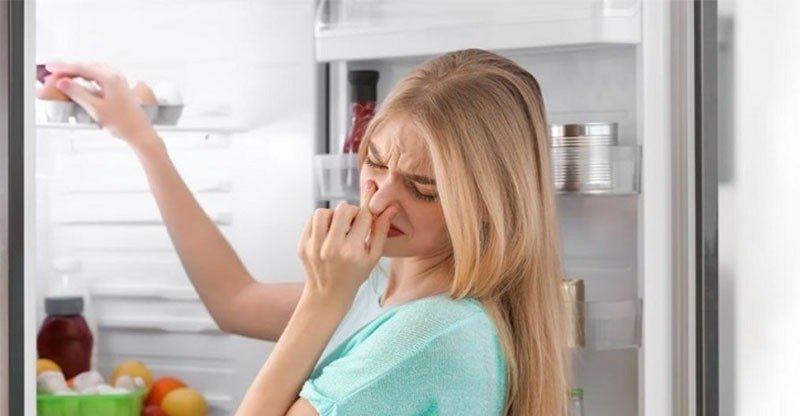 Khắc phục và xử lý nhanh chóng khi tủ lạnh có mùi ga