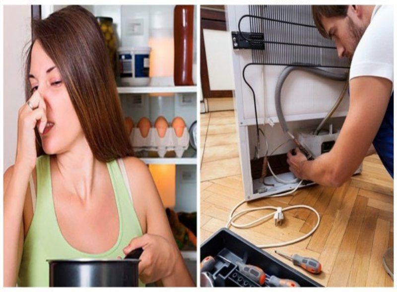 Khắc phục và xử lý nhanh chóng khi tủ lạnh có mùi ga