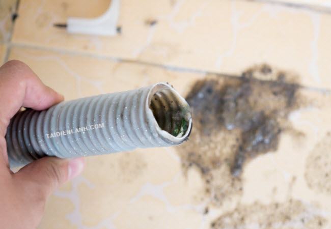 tại sao máy giặt không xả nước