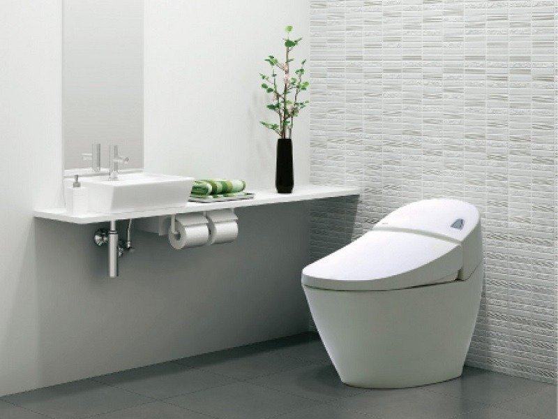 Nắp bệt vệ sinh toto nhật nội địa - Sự hiện đại và tiện nghi cho không gian sống nhà bạn