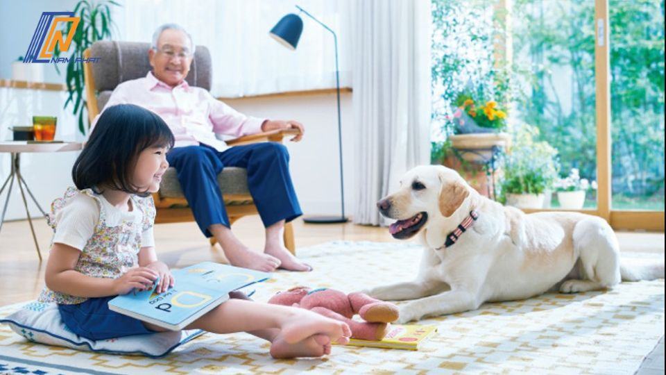 Điều Hòa Mitsubishi MSZ-GV2824