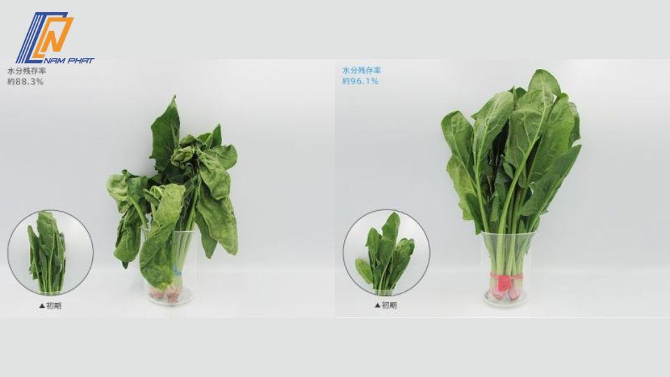 Tủ Lạnh Hitachi R-HXCC62V