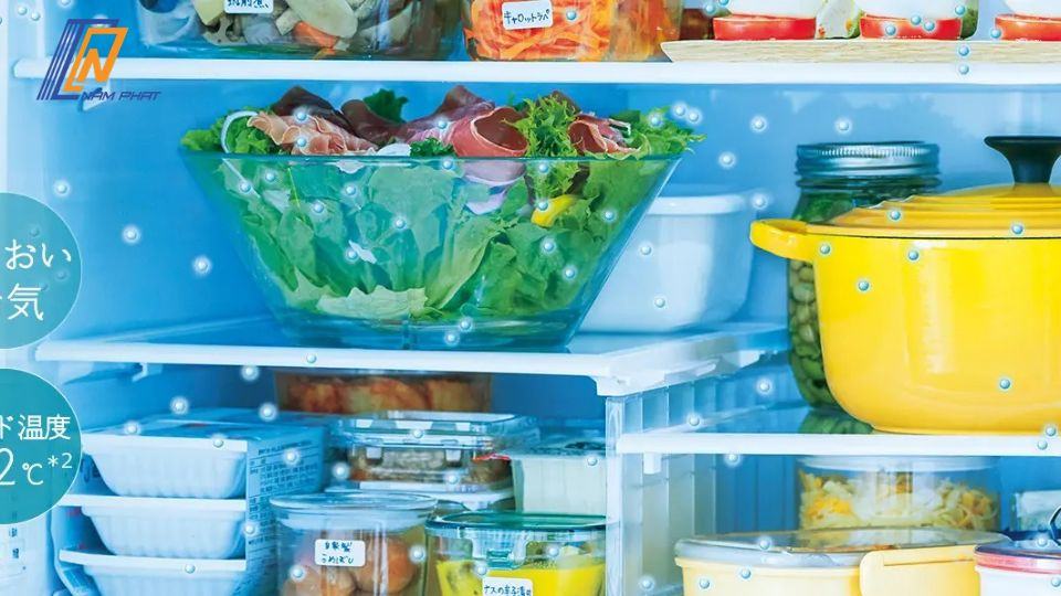 Tủ lạnh Hitachi R-HXCC62V-XN