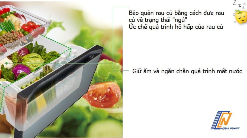 Tủ lạnh Hitachi R-HXCC62V-XN