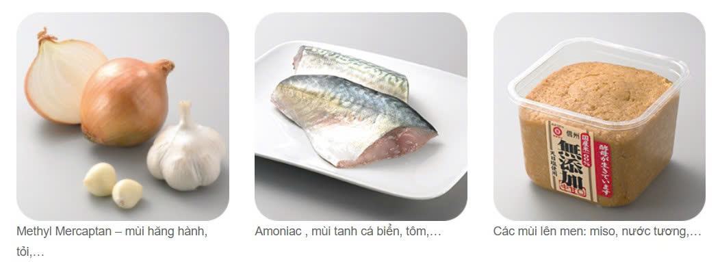 Tủ lạnh Hitachi R-WXC74X