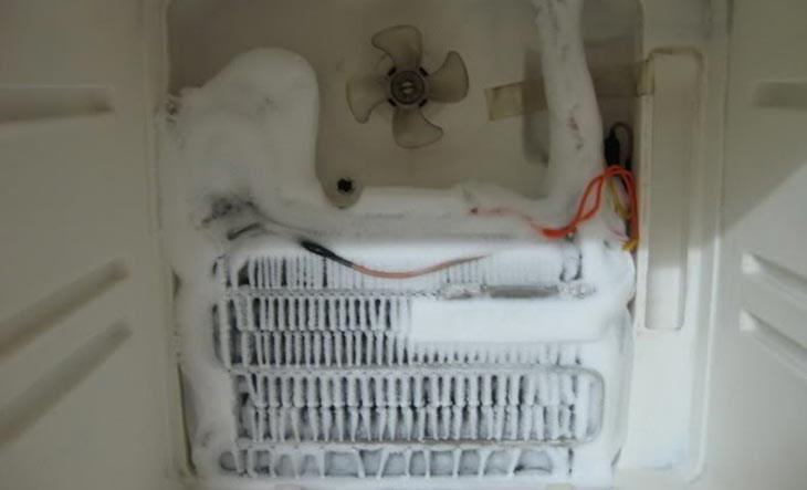 Tủ lạnh gặp lỗi quạt gió không hoạt động bình thường thì nên nhờ sự giúp đỡ của nhân viên kỹ thuật