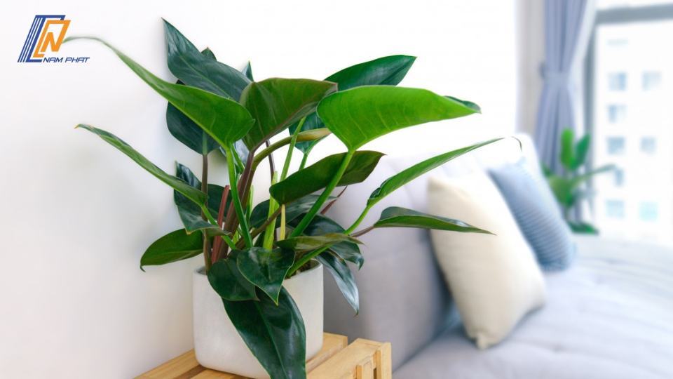 Tác hại của ô nhiễm không khí với mẹ bầu và trẻ nhỏ