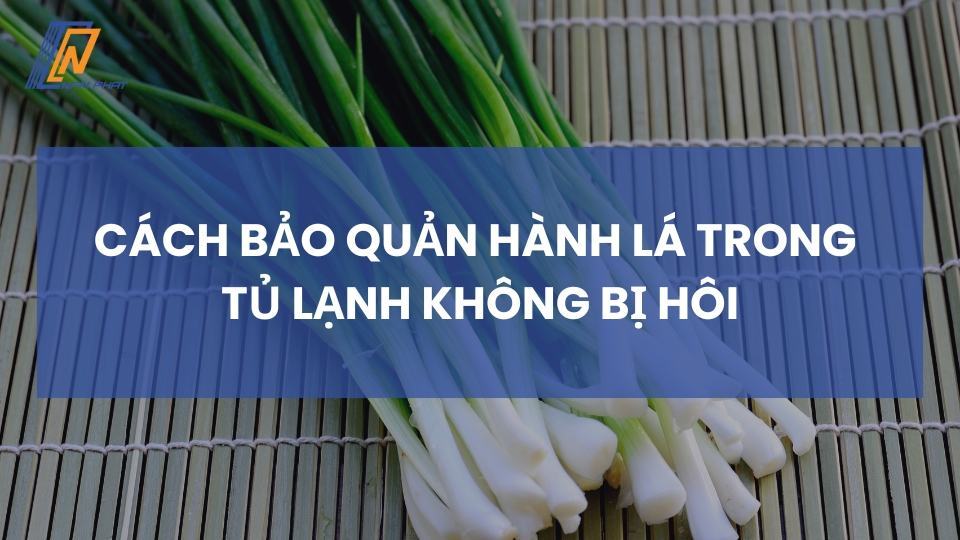 Cách Bảo Quản Hành Lá Trong Tủ Lạnh Không Bị Hôi