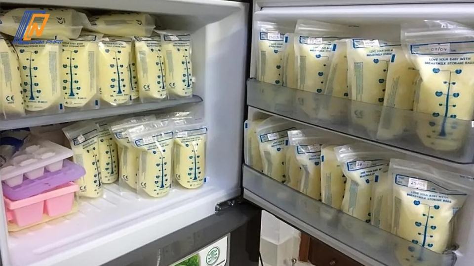 Cách Bảo Quản Sữa Mẹ Trong Tủ Lạnh