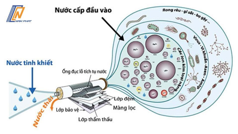 tìm hiểu về ion kiềm và ro