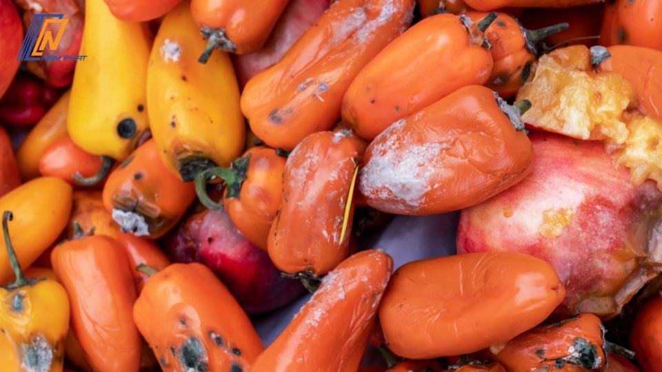 Cách bảo quản ớt trong tủ lạnh