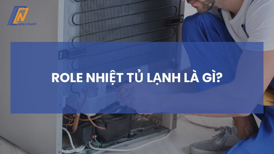 Role nhiệt tủ lạnh là gì