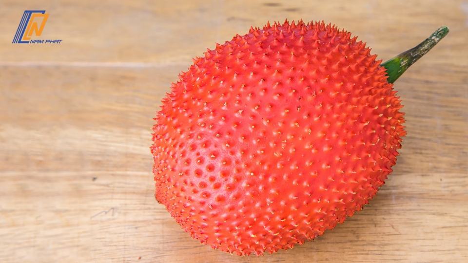 cách bảo quản gấc trong tủ lạnh