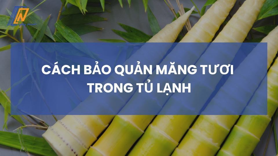 cách bảo quản măng tươi trong tủ lạnh