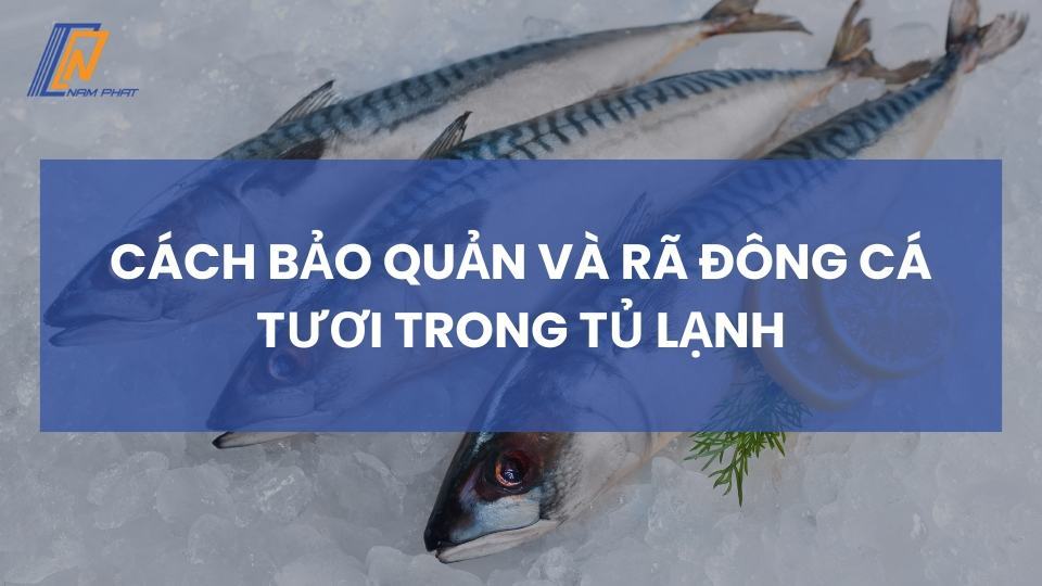 cách bảo quản và rã đông cá tươi trong tủ lạnh