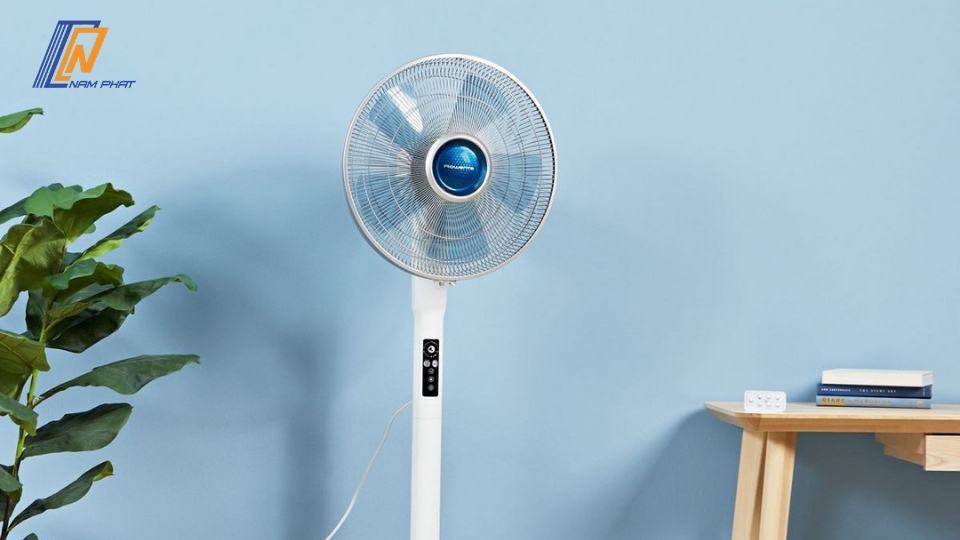 quạt cây hay quạt trần tốn điện hơn