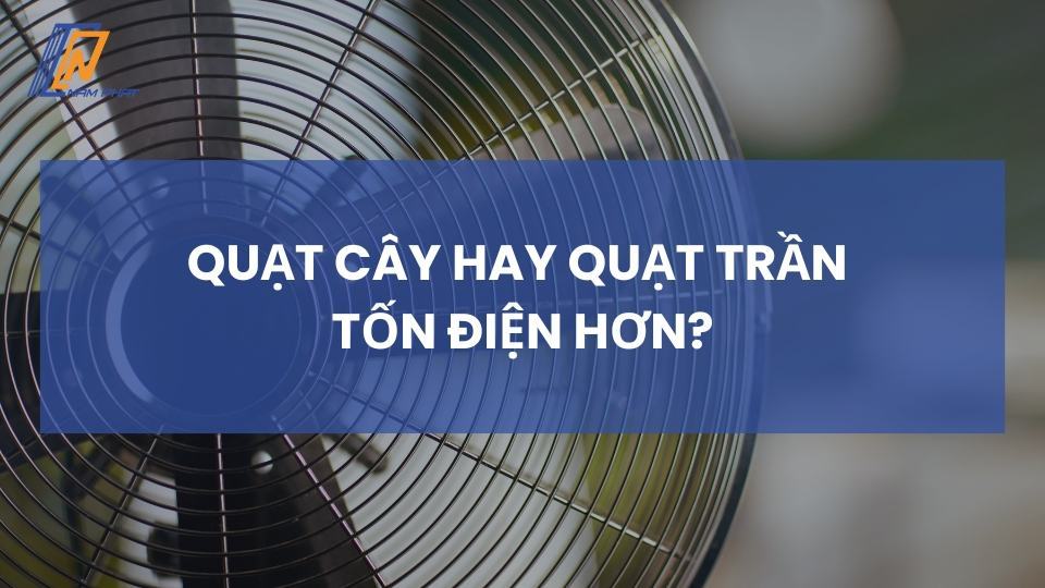 quạt cây hay quạt trần tốn điện hơn