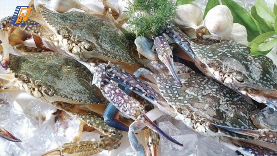 cách bảo quản cua sống trong tủ lạnh