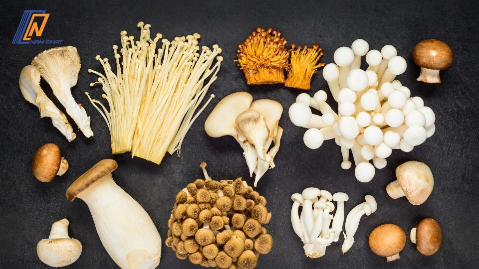 cách bảo quản rau trong tủ lạnh