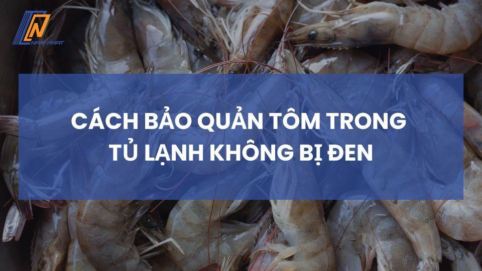 cách bảo quản tôm trong tủ lạnh không bị đen