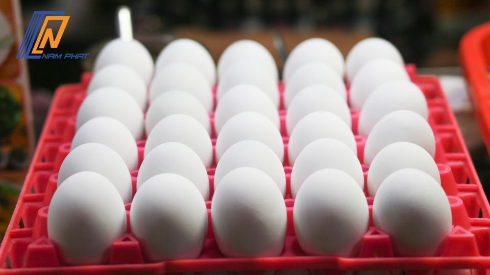 trứng vịt lộn sống để tủ lạnh được bao lâu