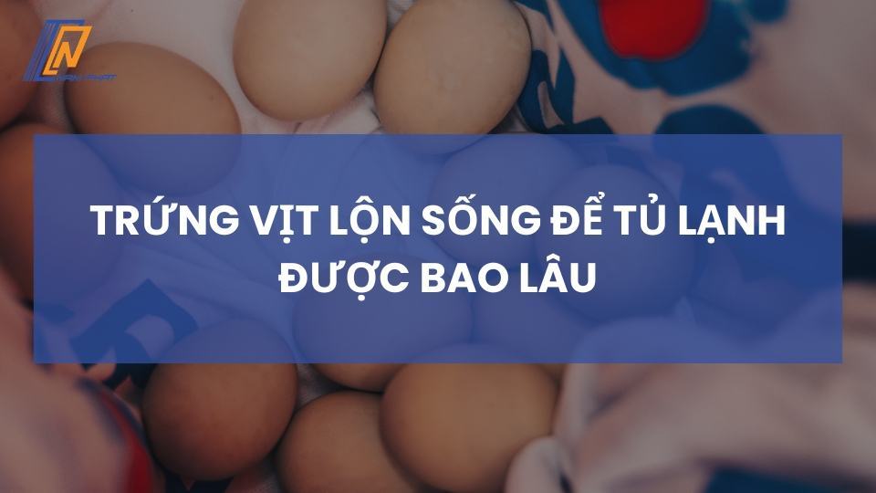 trứng vịt lộn sống để tủ lạnh được bao lâu