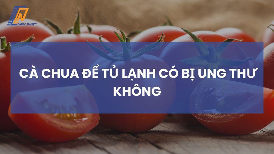 cà chua để tủ lạnh có bị ung thư không