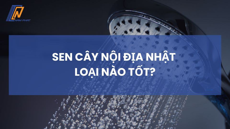 Sen cây nội địa Nhật loại nào tốt?