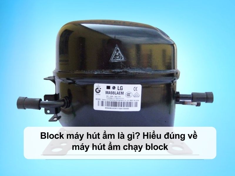 Block máy hút ẩm