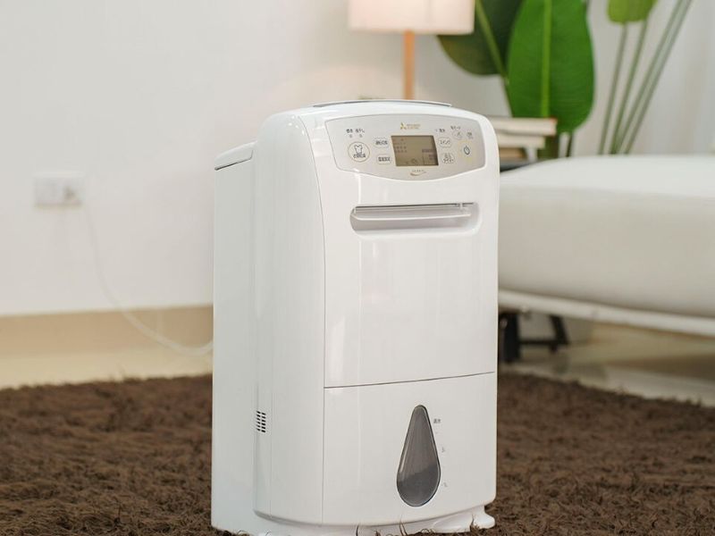 Máy hút ẩm Mitsubishi chân voi 