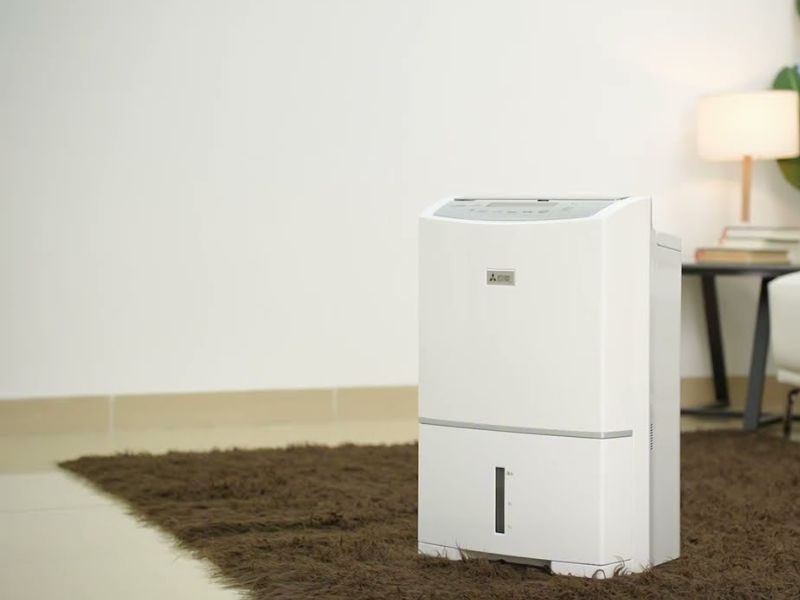 Máy hút ẩm Mitsubishi MJ-P250 