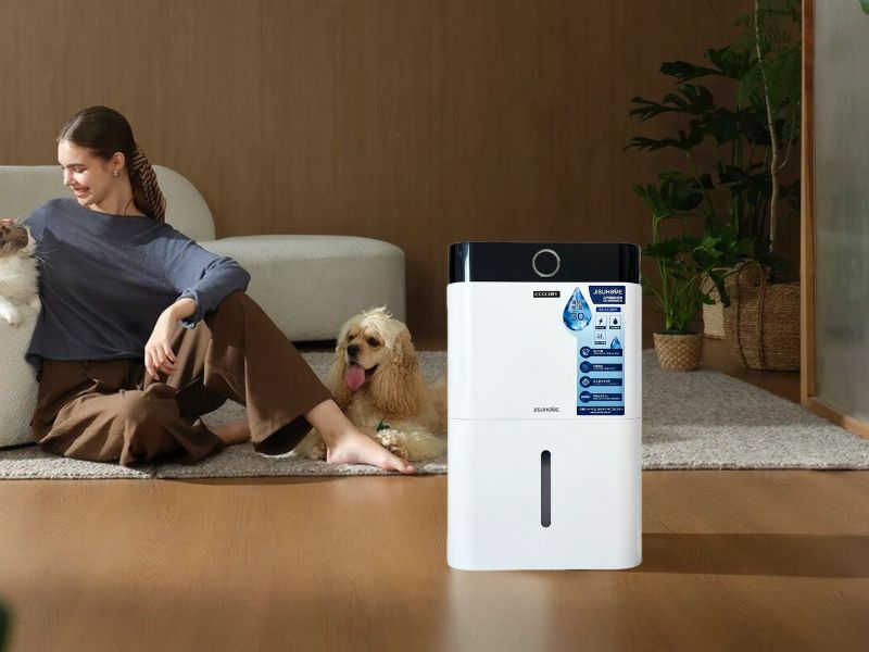 Máy hút ẩm Jisuhome 