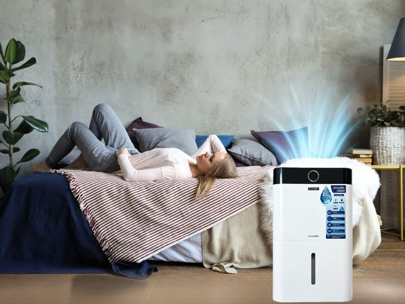 Máy hút ẩm Jisuhome MH-30R290G-W