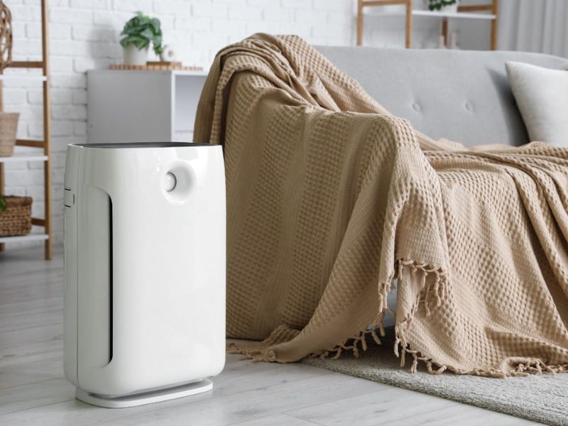 Máy hút ẩm lọc không khí 