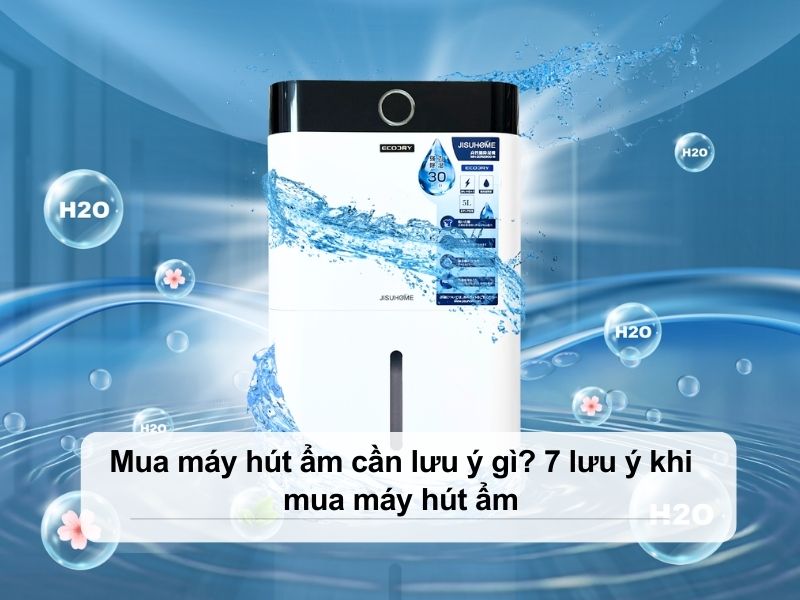 mua máy hút ẩm cần lưu ý gì