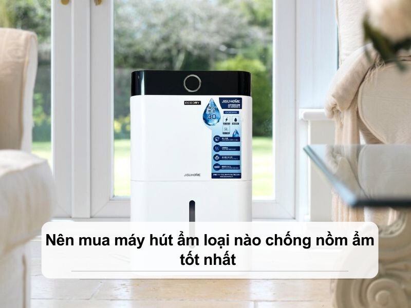 Nên mua máy hút ẩm loại nào