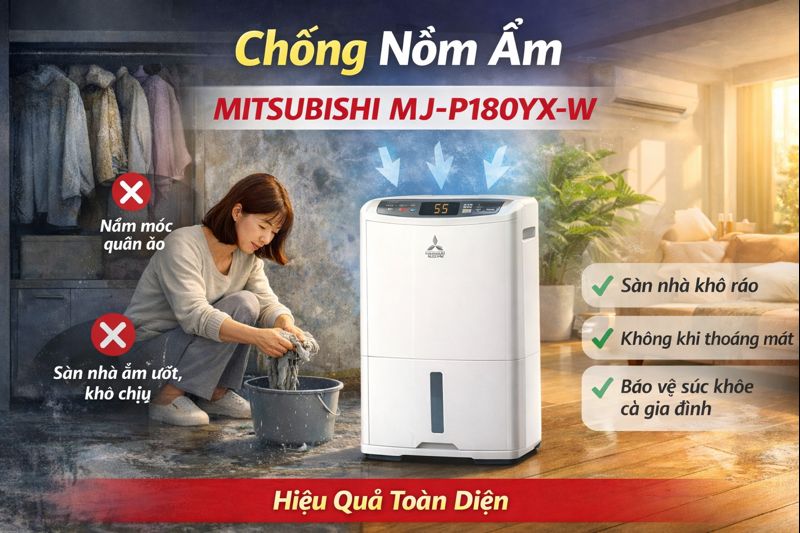 Nhà Bị Nồm Ẩm